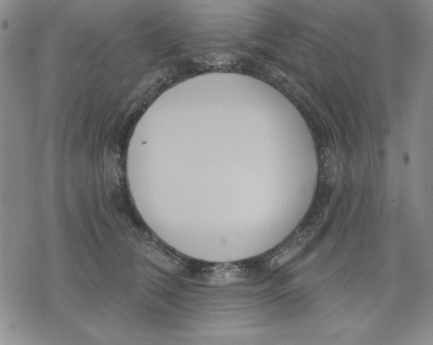 X0000076220612200610191534