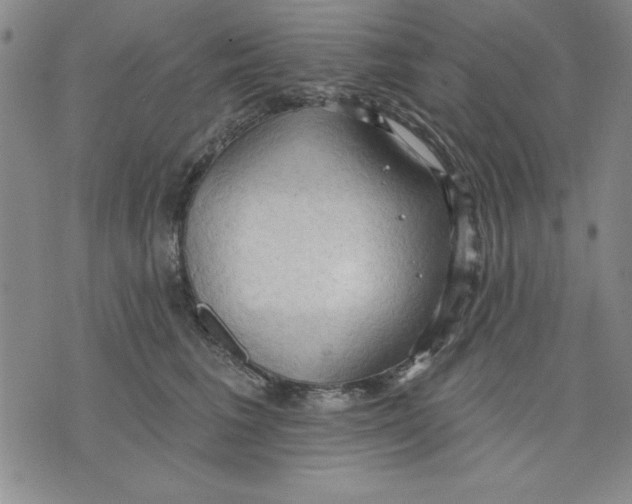 X0000076220613200610191534