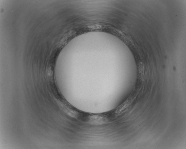 X0000076220614200610191534