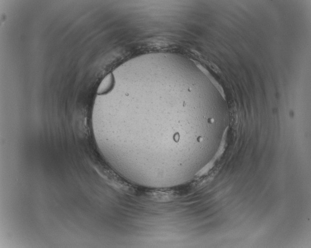 X0000076220615200610191534