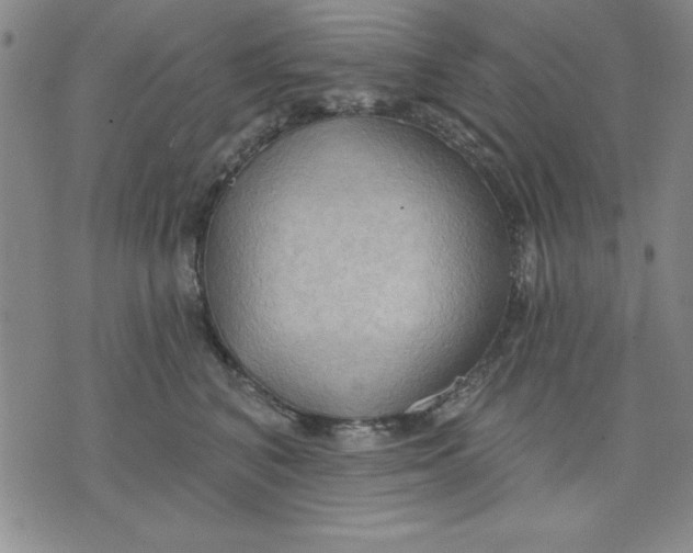 X0000076220616200610191534