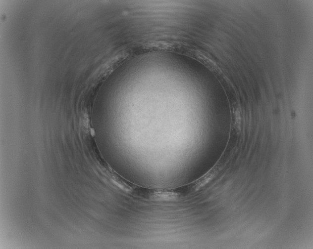 X0000076220617200610191534