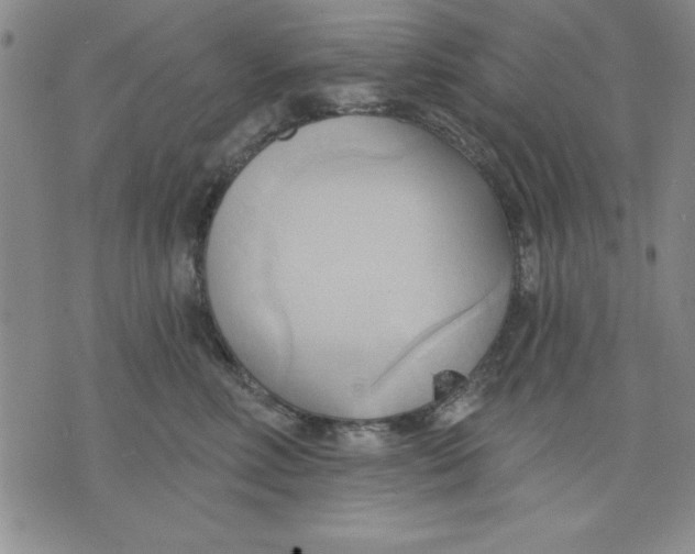 X0000076220618200610191534