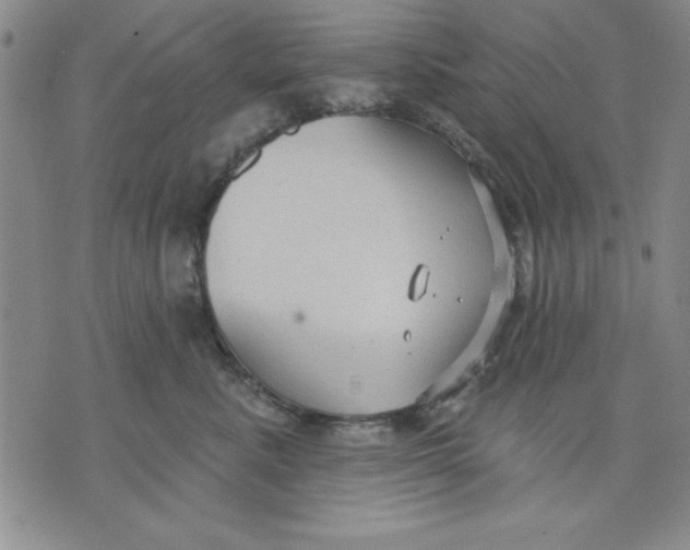 X0000076220619200610191534