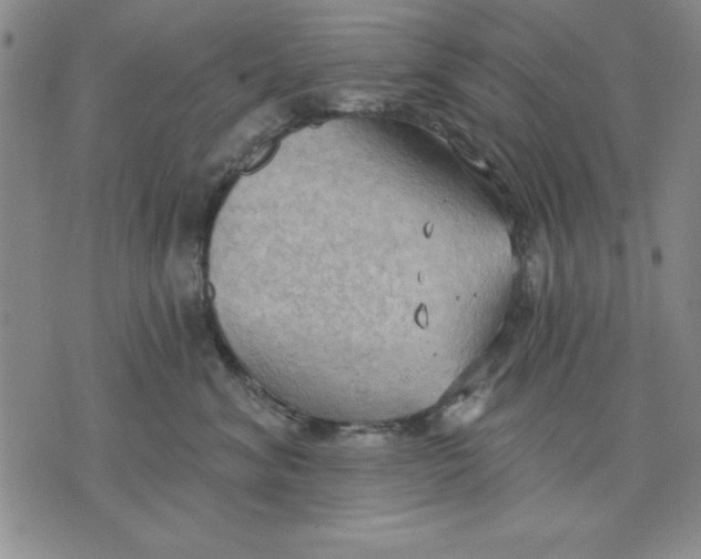 X0000076220620200610191534