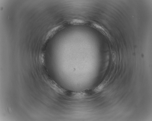 X0000076220621200610191534