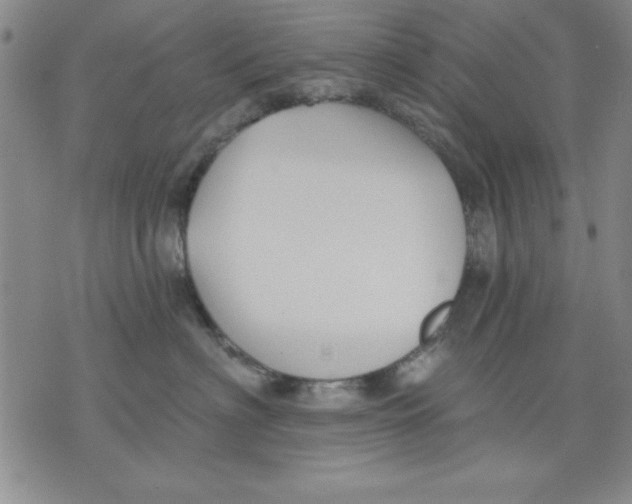 X0000076220622200610191534