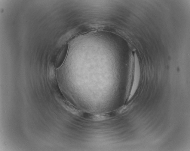 X0000076220623200610191534