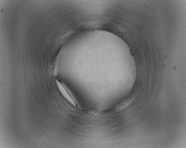 X0000076220624200610191534