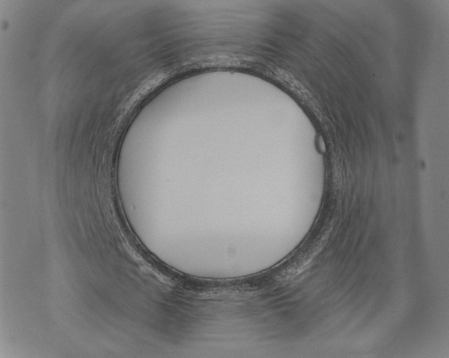 X0000076220625200610191533