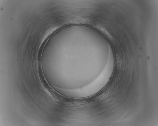 X0000076220626200610191533