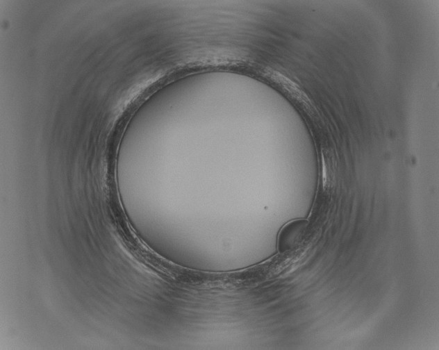 X0000076220627200610191533