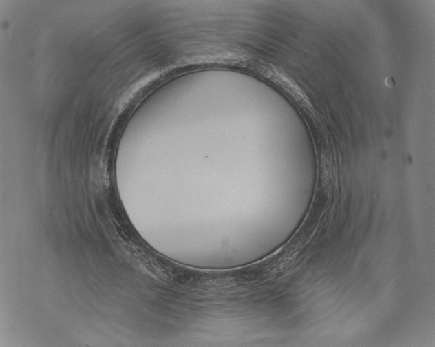 X0000076220628200610191533