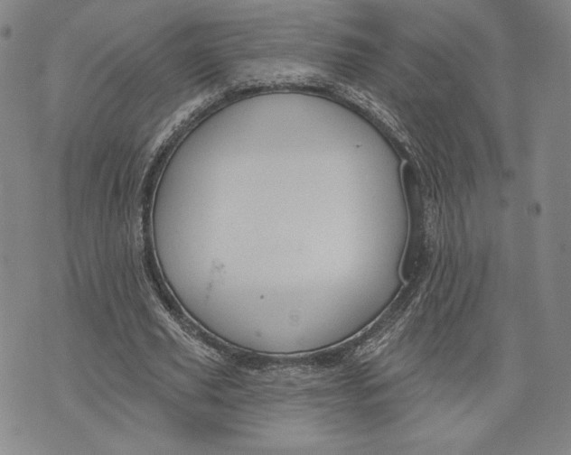 X0000076220629200610191533