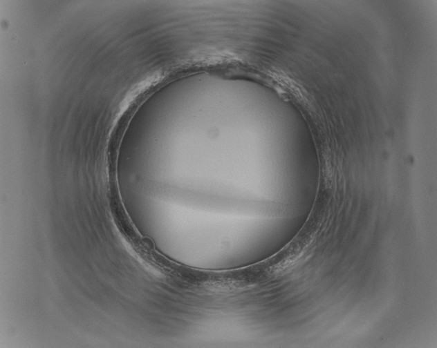 X0000076220630200610191533