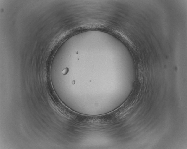 X0000076220631200610191533