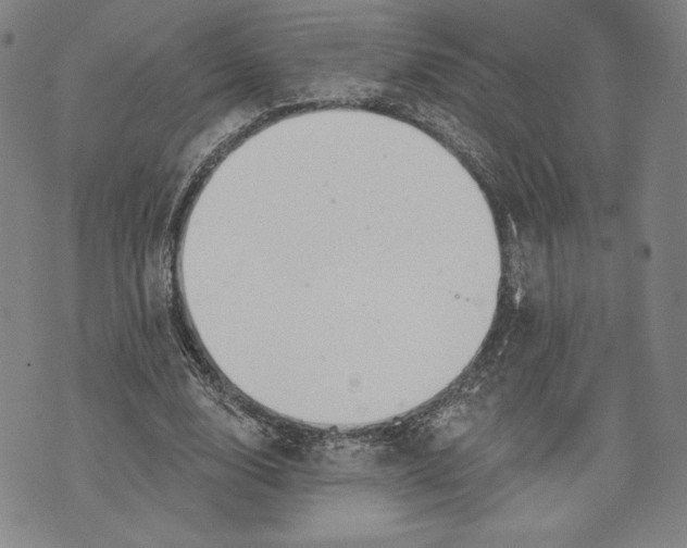 X0000076220632200610191533