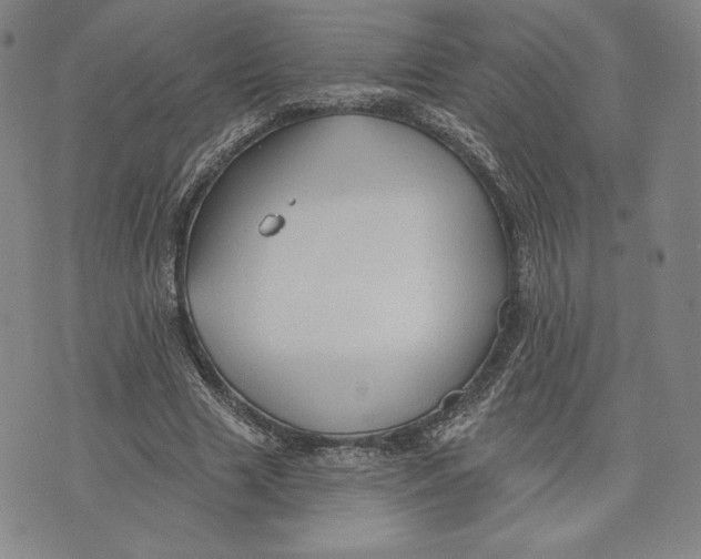 X0000076220633200610191533