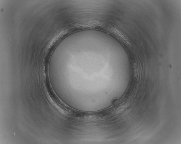 X0000076220634200610191533