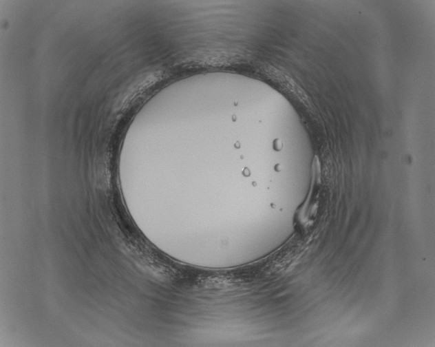 X0000076220635200610191534