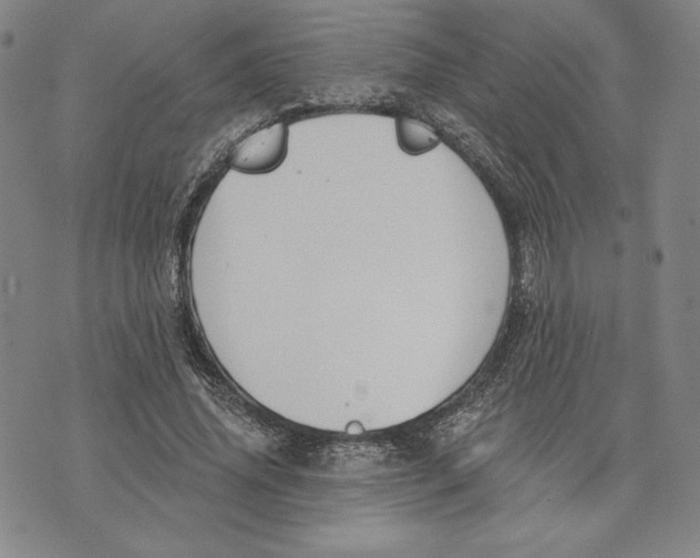 X0000076220636200610191534