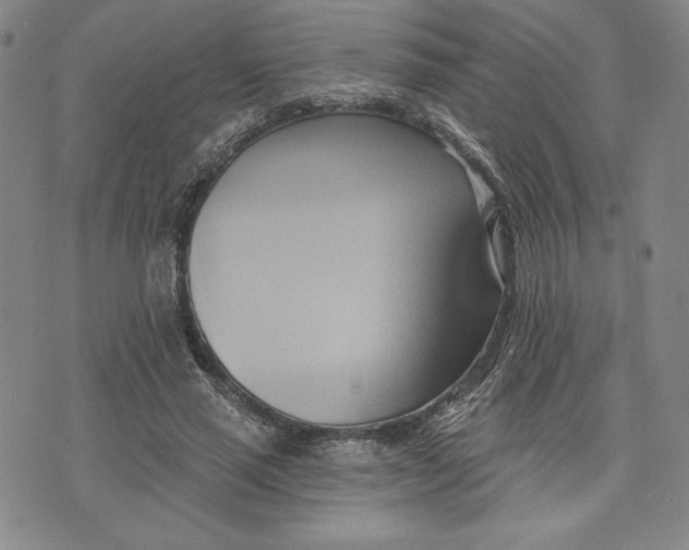 X0000076220637200610191534