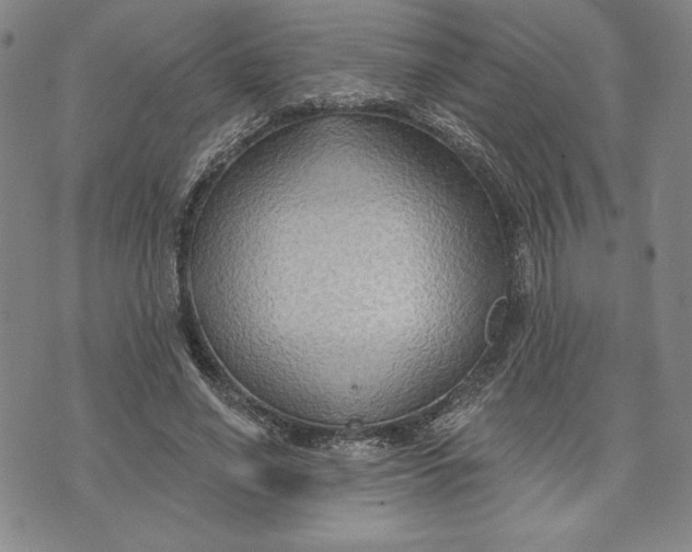 X0000076220638200610191534