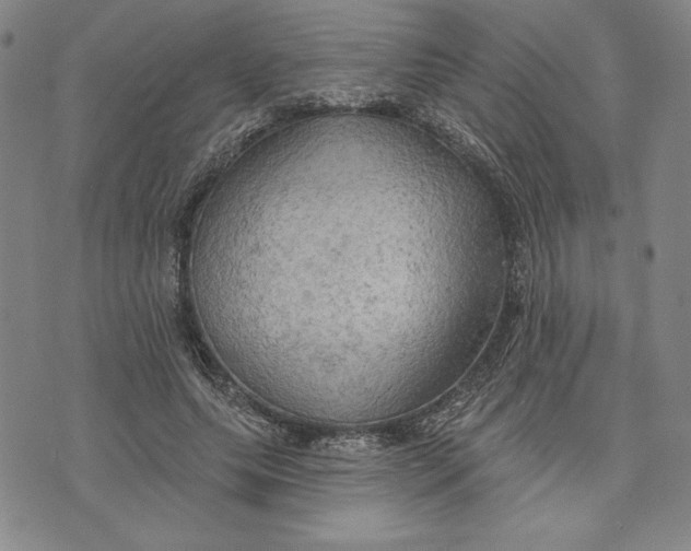 X0000076220639200610191534