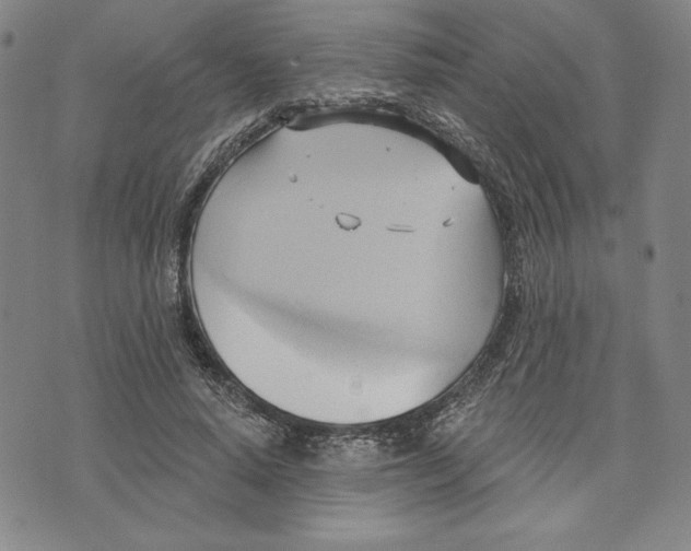 X0000076220640200610191534