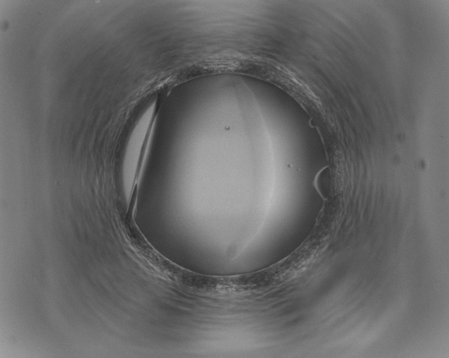 X0000076220641200610191534