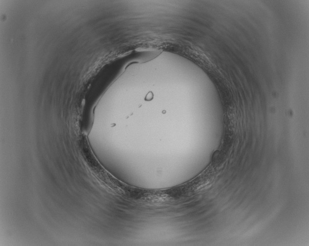 X0000076220642200610191534