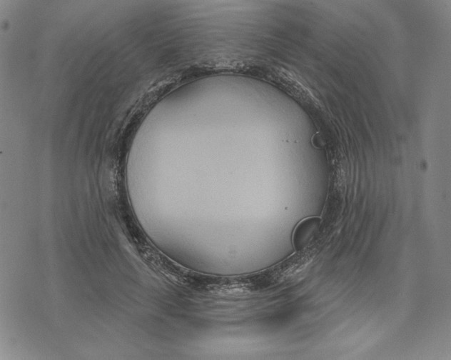 X0000076220643200610191534