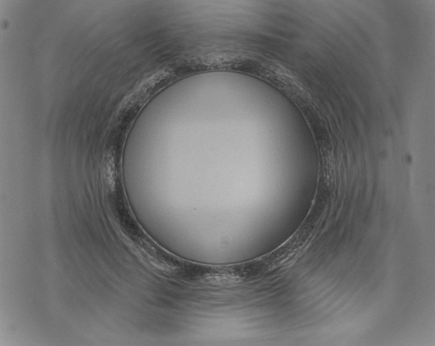 X0000076220644200610191534