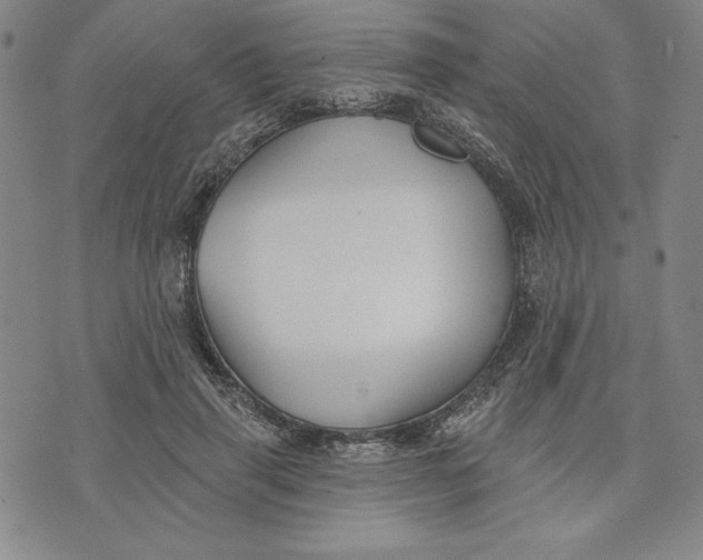 X0000076220645200610191534