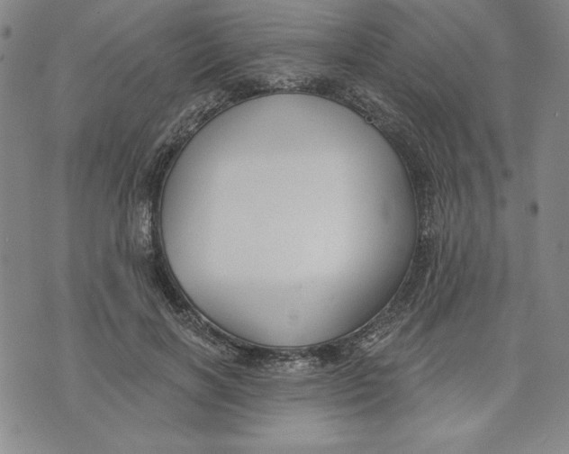 X0000076220646200610191534