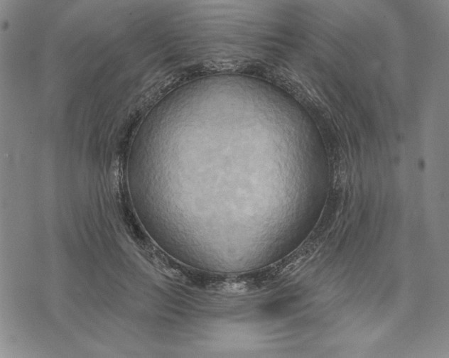 X0000076220647200610191534