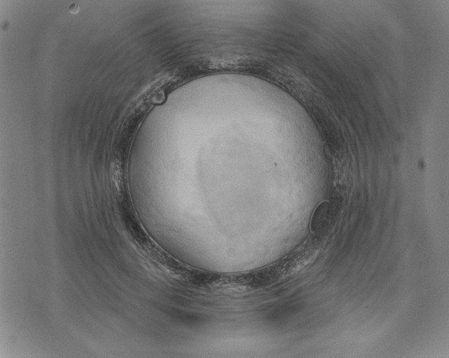 X0000076220648200610191534