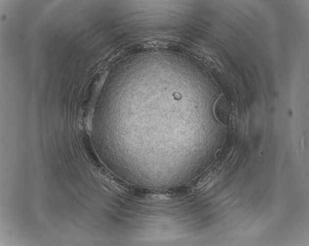 X0000076220649200610191534