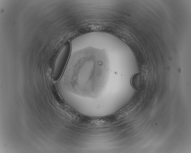 X0000076220650200610191534