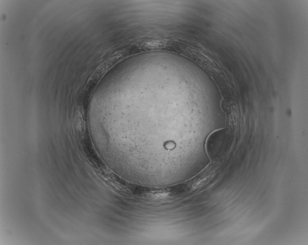 X0000076220651200610191534