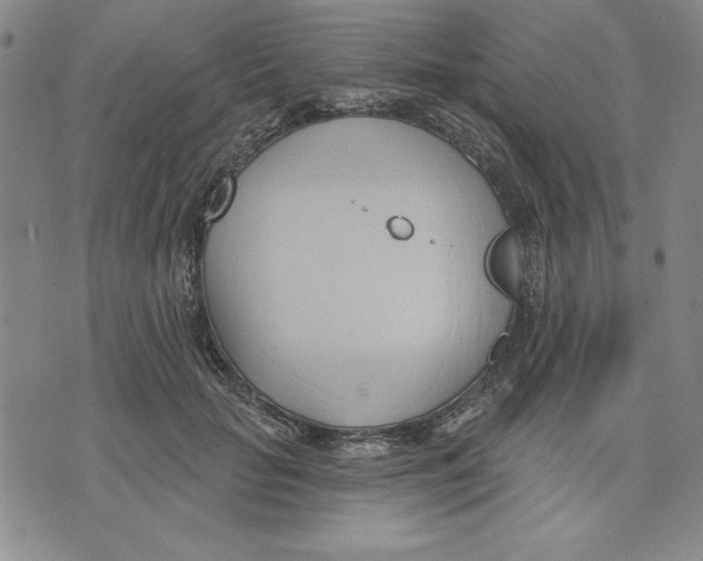 X0000076220653200610191534