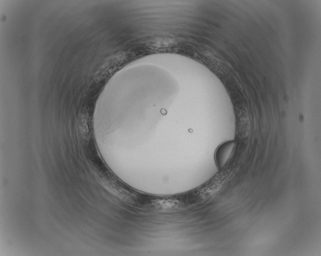 X0000076220654200610191534