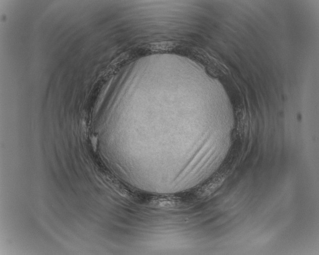 X0000076220655200610191534