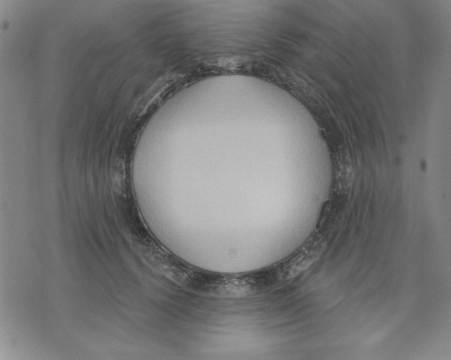 X0000076220656200610191534