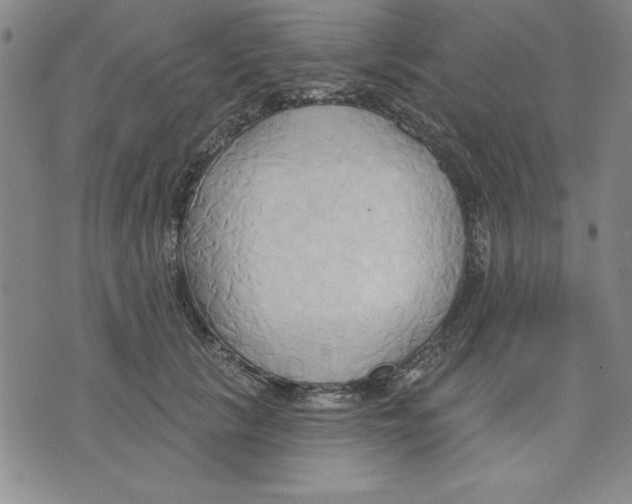 X0000076220657200610191534