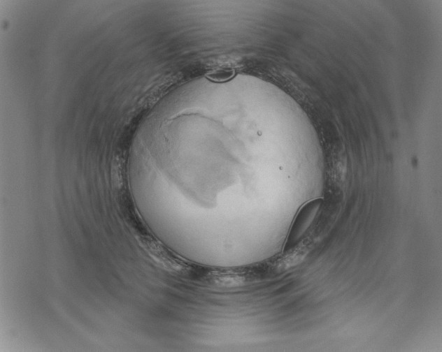 X0000076220658200610191534