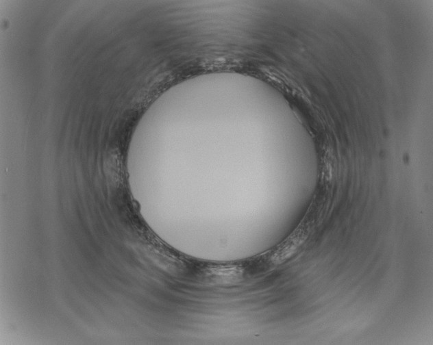 X0000076220659200610191534