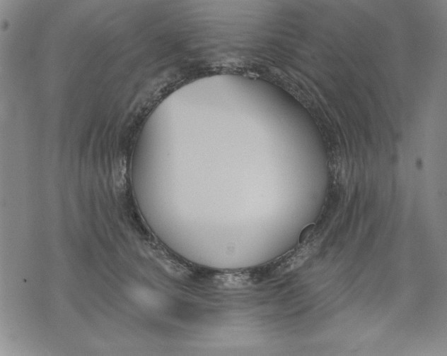 X0000076220660200610191534