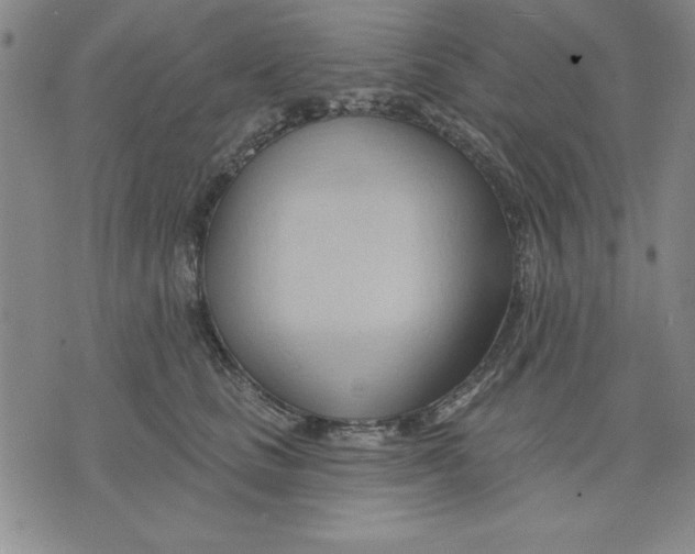 X0000076220661200610191534