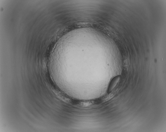 X0000076220662200610191534